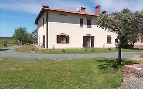 Podere Feltrino